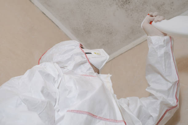 Crawl Space Mold Removal in Flemingsburg, KY